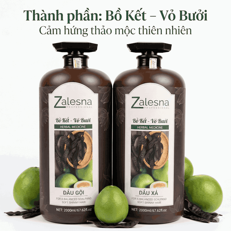 Dầu Gội Xả Zalesna Bồ Kết Bưởi Phục Hồi Giảm Dầu Ngứa 2000ml